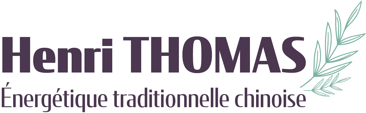 logo Henri Thomas